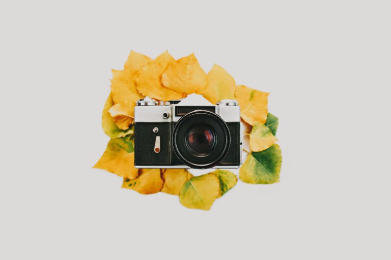 pexels-filirovska-8236224